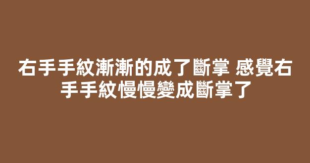 右手手紋漸漸的成了斷掌 感覺右手手紋慢慢變成斷掌了